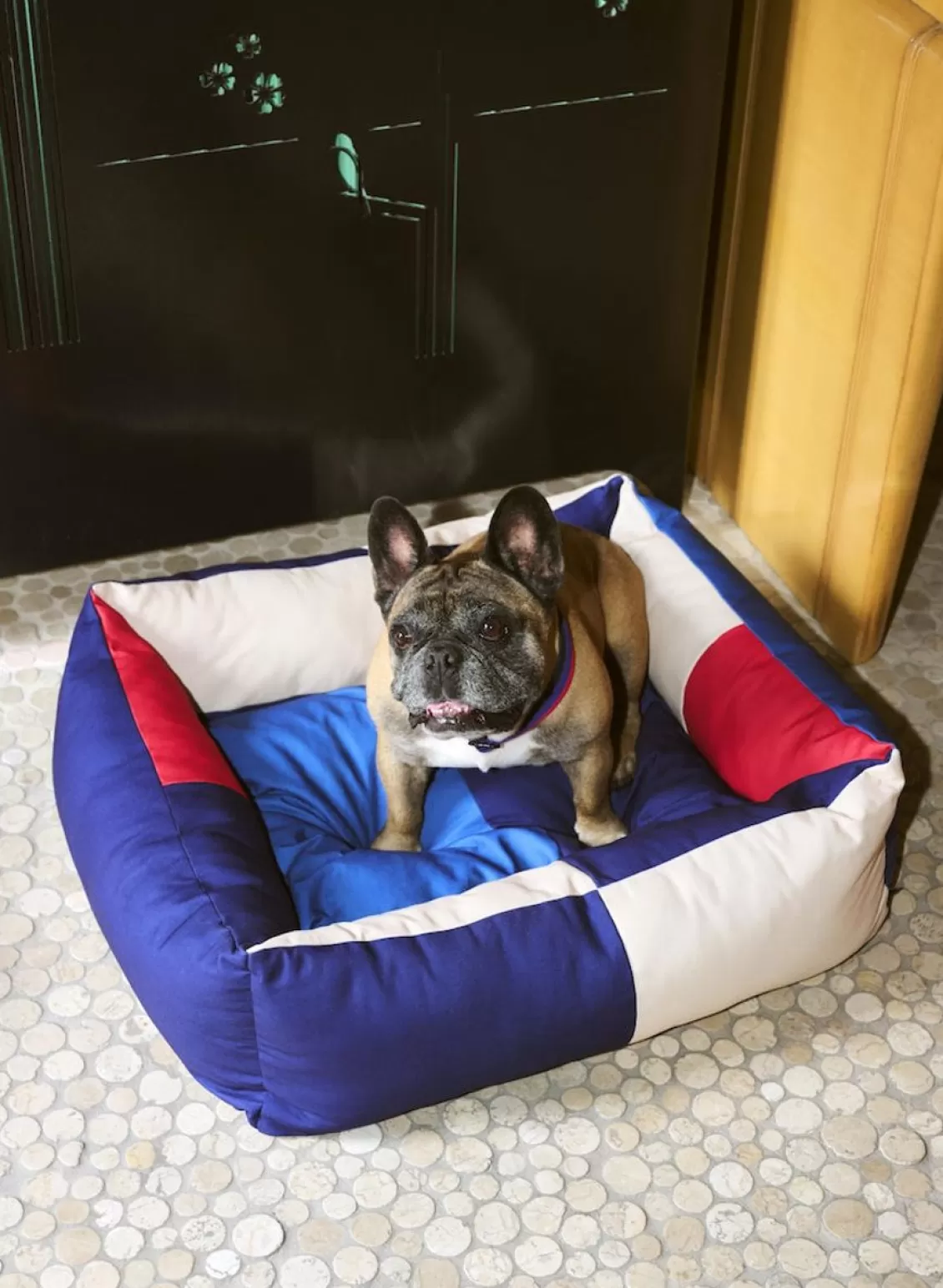 SUSAN BIJL Dogs Bed, Medium - Hay New